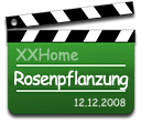 Video Rosenpflanzung