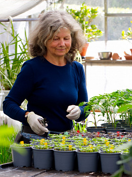 Elke Klosterhalfen